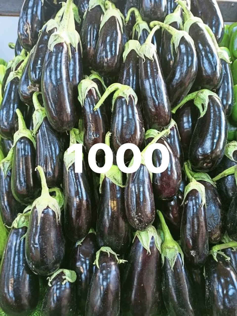 🛒 كل احتياجات البيت… بمكان واحد!
تعب السوق؟ خلّي
علوة امير بسماية التوصيل  َمطعم حج
 تهتم بكلشي 🌿🐟🥩
🔥 خضار وفواكه طازجة يومياً بأسعار سوق
🥩 مجزرة درجة أولى
🐟 سمك حي
🐔 دجاج حي
🍞 خبز بيت طازج
نضام كاشر يجيك طلب ما بي فتورة بسم العلوة علوة امير بسماية    لا تستلمة 
ملاحظة.. الاسعار غير ثابتة حسب السوق .. نشكر تفهمكم 🌼🌼
( اسعار الخضار )

فلفل ألوان 3 علبة 2000
طماطم 🍅 كربلاء 3 ك2000

طماطة 🍅 عراقية درجة اولى 1000

طماطم 🍅تركية فول 1000

طماطم جدر  4 ك 2000 الكيلو 500

ادزرة عراقية وزن 3 ك2000

خيار عراقي 🥒 درجة اولى 1000

خيار 🥒  عراقي درجة اولى 1000

اسود عراقي 🍆  درجة اولى 1000

اسود مستورد 🍆  ناعم طرحي 1000

بطاطا عراقي🥔   عرض 4 ك3000

عرض خاص علاكة بطاطة 23 ك12000

بطاطا 🥔 مصرية  750 

بصل اخضر درجة اولى 3 ك2000

خس درجة اولى 1000

قرنبيط عراقي 1000

شلقم عراقي  3 ك2000

شونذر عراقي درجة اولى 3 ك2000

بصل احمر 🧅1000

بصل مال دولمة طوال 1000

بصل كرستال 🧅 3 ك2000

بصل اصفر 🧅 3 ك2000

شجر عراقي صيفي 🫒1000

فلفل بارد عراقي🫑 1000

فلفل حار عراقي🌶 2000

جزر 🥕 درجة اولى 1000

فاصوليا عراقي 🥗2000

لهانة بيضة 🥗 3 ك2000

لهانة حمرة 🥗3 ك2000

(    اسعـــار الفـــواكه   )

رارنج عراقي 1500

كستناء 🌰 3000

فرولة درجة اولى 1000

موز درجة اولى 1500

برتقال يراني 1000

تفاح يراني 1000

لانكي يراني 1000

تمر برحي 2500

رمان مصري 2000

رمان سوري شرط عسل 2000

موز درجة اولى   1500

كيوي افريقي عسل 1500

منكة مصرية عسل 3000 الكيلو 

لانكي عراقي 1500

لانكي تركي  عسل 1500

لانكي يراني عسل 1000

لانكي افريقي 1500

برتقال مصري 🍊1500

برتقال افريقي🍊 1500

برتقال 🍊 تركي 1500

برتقال 🍊 يمني عسل 1500

برتقال يراني 1000

وتفاح اخضر🍏 2500

تفاح يراني ابيض 1500

تفاح  اصفر 1500 

تفاح احمر 1000 عرض تطلب اكتب  العرض

تفاح اصفر درجة اولى 1500

 
 ليمون افريقي 🍋 اصفر 2000

ليمون مصري 🍋 اخضر 2000

ركي  عراقي كيلو 1000

ركي  عراقي كيلو 1000

بطيخ عراقي حلو كلش 1500

بطيخ عراقي عسل 1500

ثوم عراقي يابس كيلو  🧄4000

ثوم كيس 🧄1000

جزر تركي 🥕1000

 

زنجبيل 🫚 5000

اسعار التمور 
ذرة 🌽 جاهزة 1000

تمر برحي علبة 2000

تمر خستاوي كيس 1000

( اسعار  الخضروات ) 
 سبيناغ بامة كبيرة دبل معة المواد 1500

خضرة ١٠ ب 1000🥙

سلك باكة دبل فول1500

طرشي شقل بيت درجة اولى  كيس نص كيلو 1500

طرشي مدبس درجة اولى كيلو 5000

طرشي درجة اولى مشكل كيلو5000

خل ابيض بطل كبير وزن كيلوين 1000

خل اسود بطل كبير وزن كيلوين 1000

(((اسعار الجملة))) 

كرتونة موز 15 ك 14000

 
صندوك برتقال 15000

كيس بطاطة 17 ك 12000

كيس بصل 24 ك12000

@إشارة جمعيا الله اسلام عليكم اخوتي وتاج راسي 

اخوان علوة كلشي متوفر بيهة 

سوبر ماركت 

دجاج 🐔 حي كيلو 3750

🐟 سمك حي كيلو 6000

افخاذ دجاج 🐔 كيو 6000

صدر دجاج 🐔 كيلو 7000

خبز بيت درجةً اولى 

طرشي درجة اولى مشكل كيلو 5000

خيار محشة كيلو 5000

طرشي خل مشكل كيلو 5000
🐔 دجاج حي الكيلو 3750
🐟 سمك حي الكيلو 6000

🚚 توصيل لبسماية خلال ساعة فقط
💵 أجور التوصيل: 1000 دينار

📞 واتساب / اتصال: ***********

✨ 📩 أو راسلنا خاص وخدمة سريعة 💚

🔥
#بسماية
#مدينة_بسماية
#علوة_امير
#خضار_بسماية
#فواكه_بسماية
#سوبرماركت_بسماية
#مجزرة_بسماية
#سمك_حي
#توصيل_بسماية
#عروض_اليوم
#بغداد
#تسوق_ذكي
 🔥 🚀
