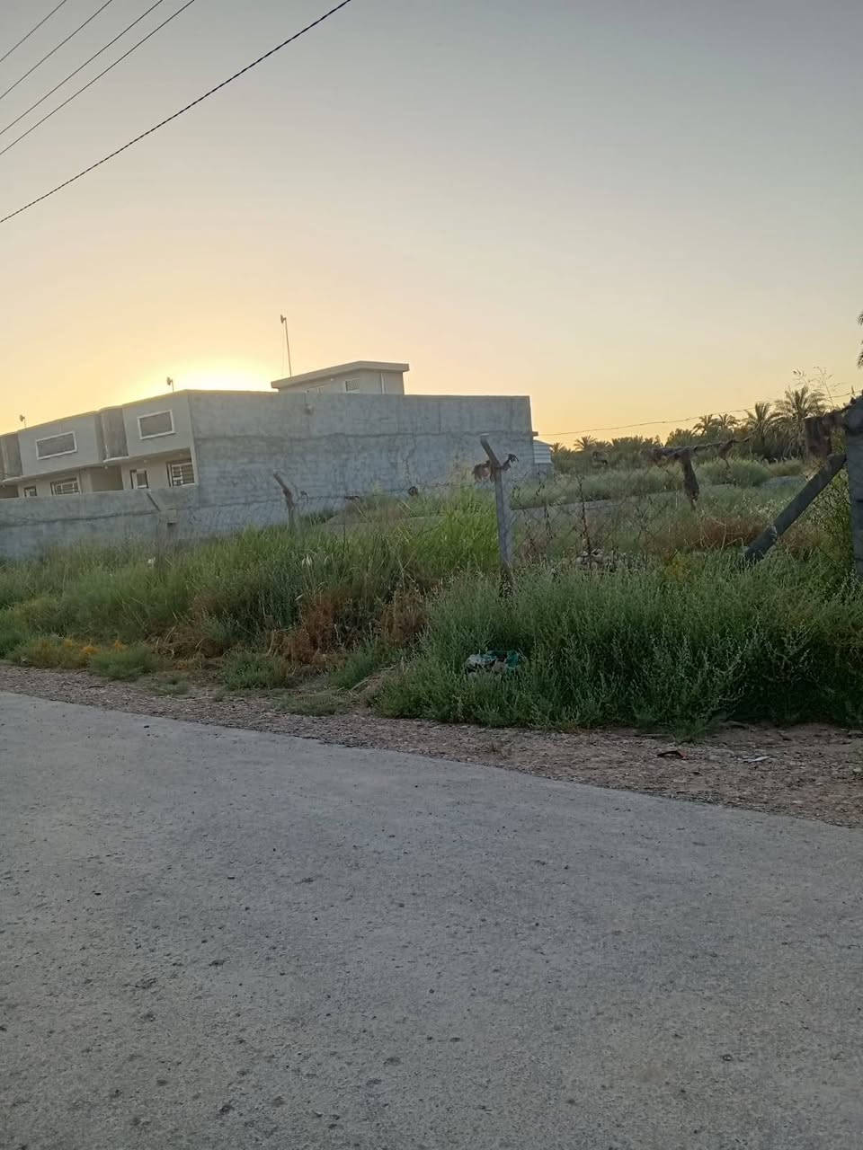 السلام عليكم دونم للبيع طابو زراعي 25 بسمي مي وكهرباء وتبليط جاهز للسكن وبي بتلو الموقع العثمانية خلف اسواق الكربولي بمسافه الاستفسار اكثر اتصل ***********
