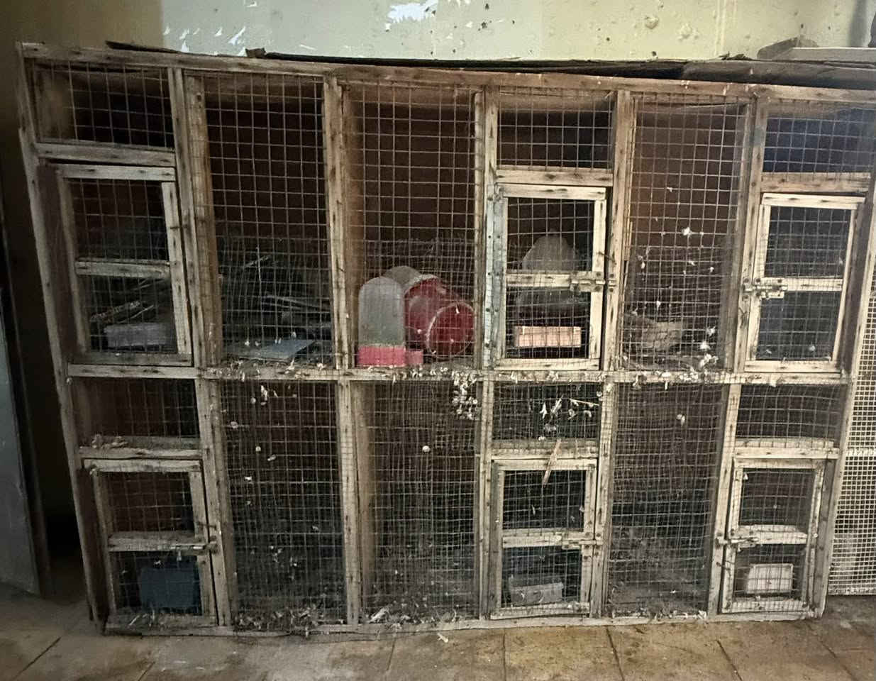 السلام عليكم غراض للبيع كلمن وسعره كلهن نضيفات مبرده السعرنهائي يعني لاتخابرني لوتراسلني وتكلي بيش غراض بيت مو بياع شراي مبرده 150+تانكي 50 الف +برميل نفط10تالاف+قفص 10تالاف+صحن 5تالاف+تخم سفنج50 الف +كنتور بابين ايطالي50 الف +خانه مال طيور25 الف المكان بغداد مدينة الصدر بجوادر قرب مصرف الرافدين ***********بي واتساب
