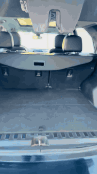 بريمير • ٢٠٢١ • حادث مبدلات