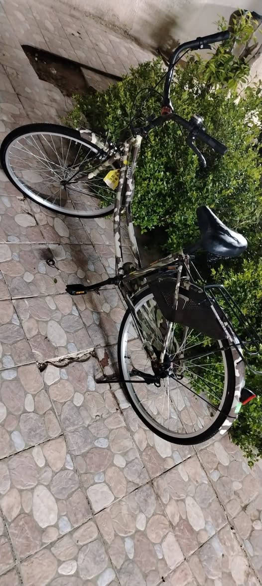 بايسكل سانتوس للبيع النضافه فول السعر 150


**إذا كنت صاحب هذا الإعلان وتريد حذفه لأي سبب، رجاءا أرسل رسالة إلى الدعم الفني**