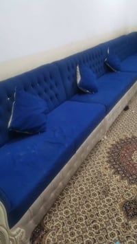 كنب • تخم تزكام • النجف النصر