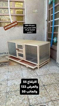 حاضنة كتاكيت • بيارسي تور باك • كربلاء
