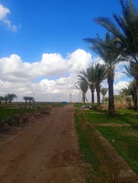 4 دوانم للبيع • ارض زراعية • ارض تجارية • حقل عجول • دار للبيع • محلات...