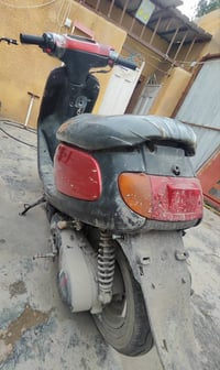 دراجة منغولي فحل للبيع   السعر 350 الف دينار  // 07803113384 واتساب