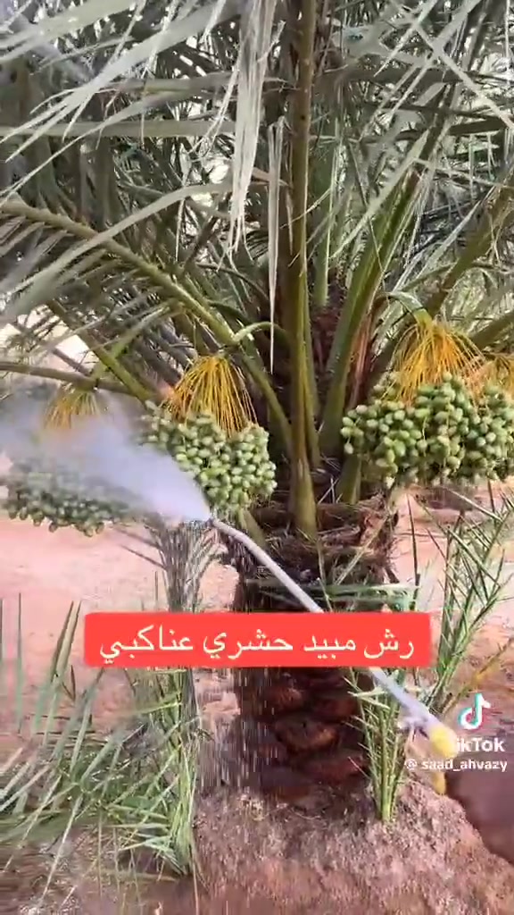 سلام عليكم موجود هولدر مكاني فهود ارش نخل بأنس السعار هاذه رقمي***********
