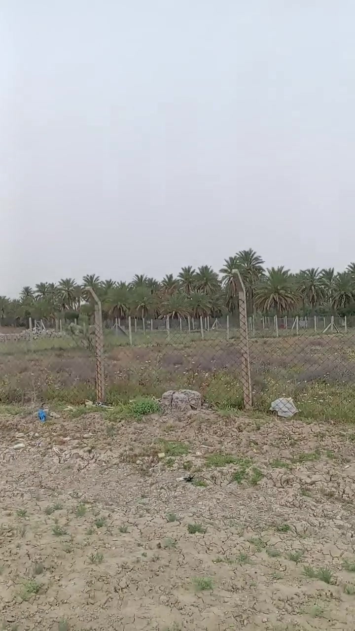 عدنا اراضي للبيع طابو ملك صرف مساحه ١٣٥٠ + ٣٠٠ طابو زراعي ديالى بعقوبه على شارع ٦٠ حي العبور ***********
