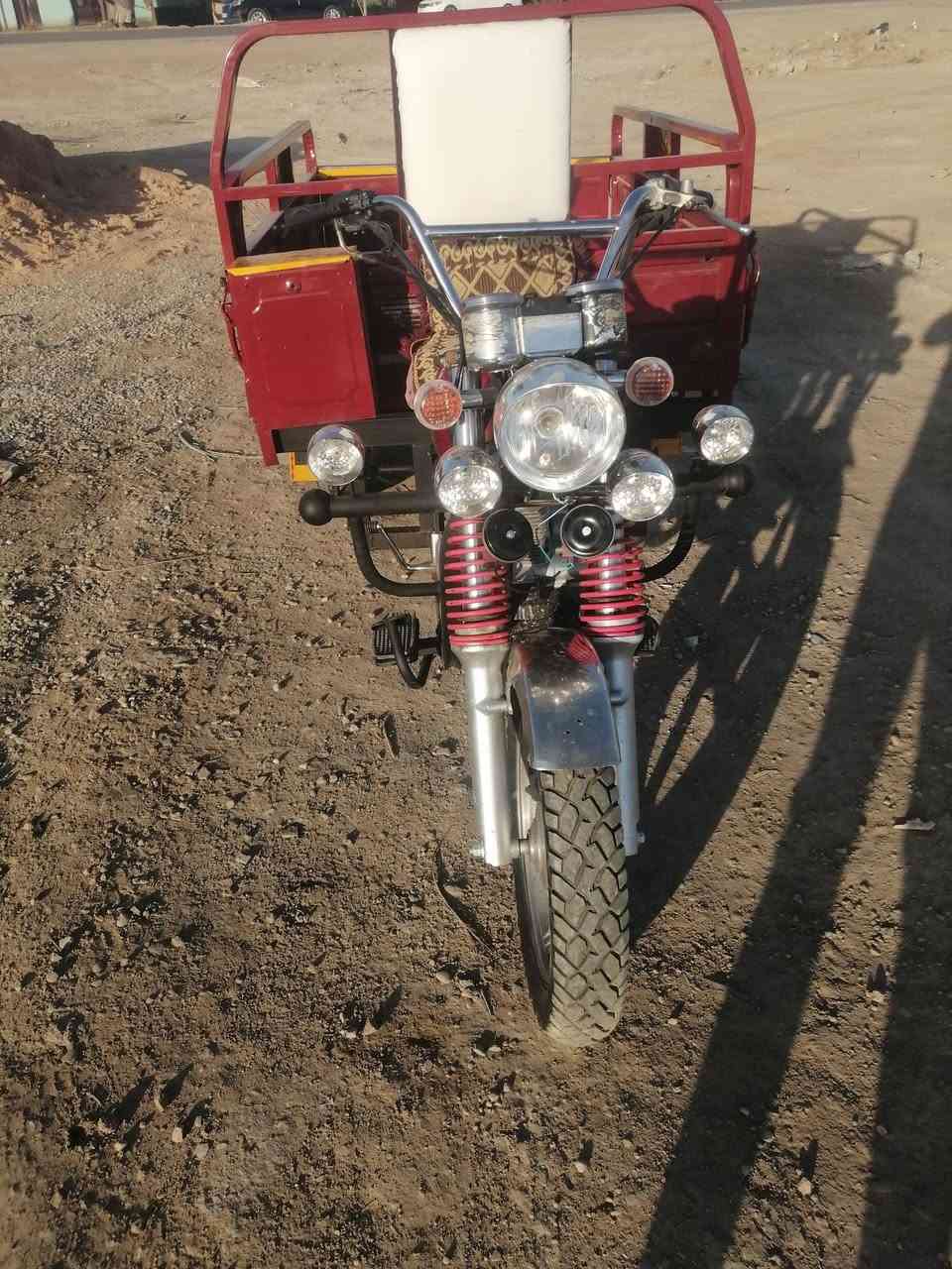 ستوته للبيع موديل 13 فحل المكان الشافعيه  ***********
