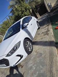 النترا • ٢٠١٨ • بابل الدولي