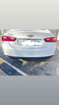 تخم بكلايت خلفي • ماليبو بلادي • نضافة 100%