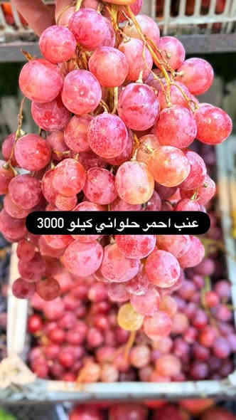 مساء الخير 
مسواك جديد وفريش مال العصر 
متواجدين ويوجد خدمة توصيل داخل السماوه 
العنوان سماوه ال باني فرع مقابل الكفيل ودخل للأخير مقابل متوسطة التكامل للبنات

الرقم بي واتساب ***********
