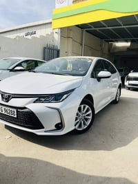 كورلا • ٢٠٢٤ • رقم اربيل