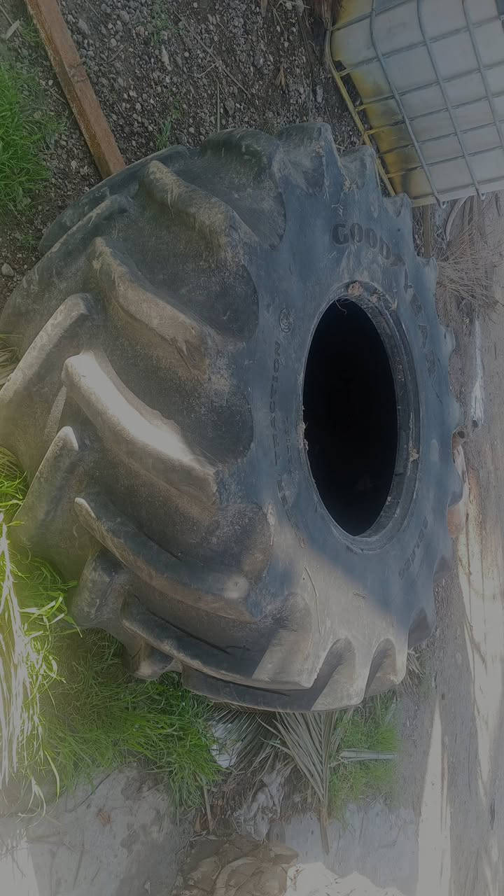 السلام عليكم تاير26 نضيف بي بس فطر واحد العنوان نجف ناحيه العباسيه
***********
