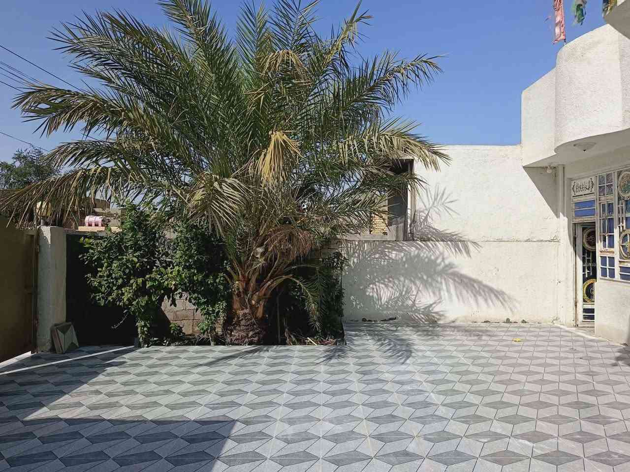 بيت للبيع بشارع نفط بناء حديث مساحه 320 قرفتين صاله مطبخ ستقبال حمام داخل حمام خارج سعر 52 وبي مجال شارع نعيم للهاتف نقال /***********/***********
