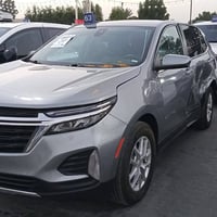 كوينكس • ٢٠٢٤ • ترقيم شهداء ١٥٥