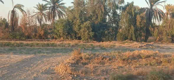 دوانم للبيع طابو ملك صرف
تحويل ثاني يوم
بغداد طريق سياحي
تبعد عالشارع السياحي خمس دقائق
قرب جسر جواد البشو
 تفاصيل  اكثر *********** 
لا مكتب ولا دلال لكاع بسمي اني
