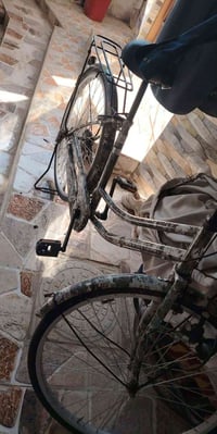 باسكل فول • ابدل بايفون اكس ماكس • ديوانيه مركز