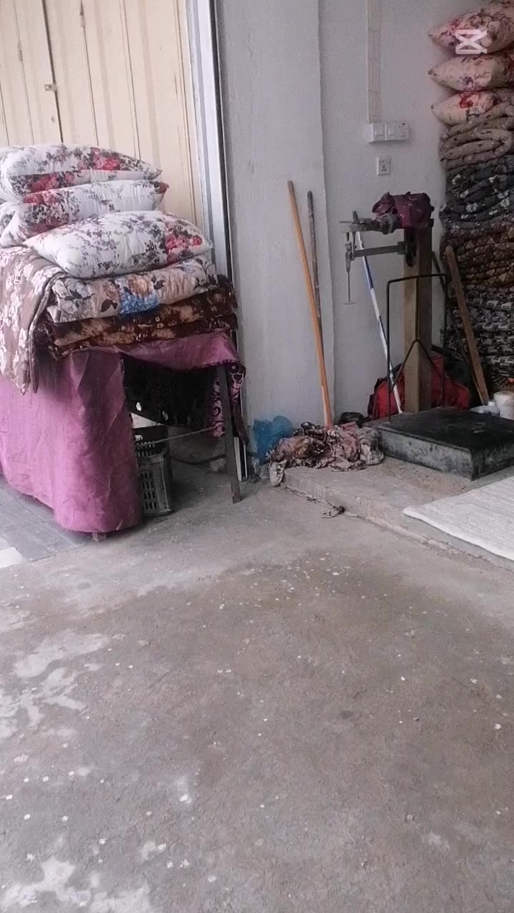 بلد شارع المحيط مقابل معهد الأمل للصم والبكم  أبو سجاد ***********
