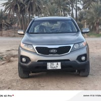 ٢٠١٣ • وارد امريكي • بنيد