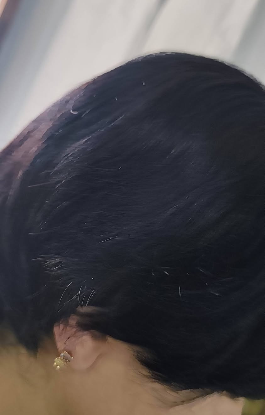 باروكه ولادي شعر طبيعي 100/100 متوفر توصيل
***********
