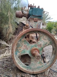 لستر • معمّر • للبيع