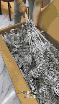 بمناسبة المطر والاجواء الحلوة 🥺🌧️
هدية حلوة 😍❤️
سوي تاگ لصديقتج بالتعليقات وربحي ويانا جلسة تنظيف (هايدروفيشل )# مجاناً 
هنا نعلن الفائزة تابعي القناة https://www.instagram.com/channel/Aba8x_gWHtv5a42b/

📍📍عيادة بيرلي (نبتون)
الحمزة الشرقي جهة شارع الملاحة مقابيل صيدلية نجلاء الشيباني 
واتساب او الاستفسار ***********
#الحمزة_الشرقي #الديوانية #الحمزه_الشرقي #عيادة_بيرلي_نبتون #فلر_شفايف #فلرشفة_فلر_وجنات_فلرخطوط_ضاحكة_فلرذقن_تكساس_تكنيك #الحمزة_الشرقي #اكسبلورر #اكسبلور_explore #عيادةبيرلي_نبتون #اكسبلور_2020 ❤️❤️❤️⁩
