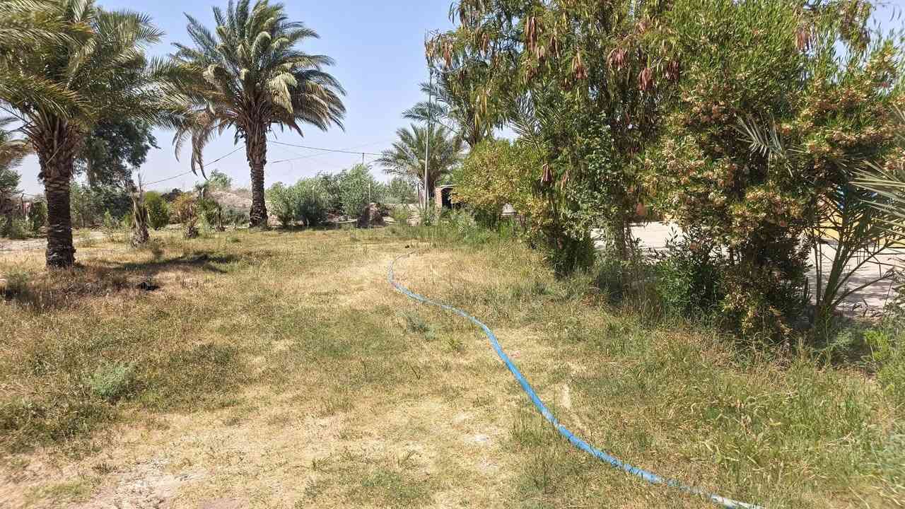 خمس دوانم بيهن بيوت 3مي كهرباء بل باب مولده كبير الكاع مسيجه بي آر سي بيها نخل مثمر على طريق دجيلي قرب مدرسه الأندلس الاستفسار ***********

