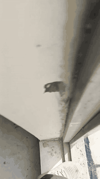 ابو كاضم لعمل الماستك سعر المتر كرستة وعمل 2000 دينار للستفسار التصال ...