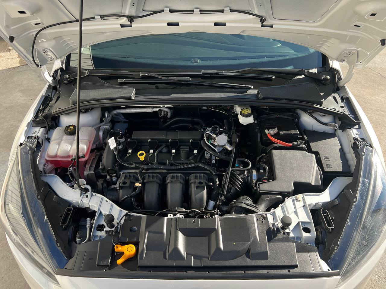 فورد فوكس 2018
تيتانيوم فول مواصفات 
ضرر بس بونيد بدون دواخل سيارا جديدة وماتحتاج ايا شي كير ومكينه بشرط ماشيه 105الف كيلومتر  
رقم وسنوي جديد قبل شهرين مسوي سعر 107وبيها مجال بسيط رقم *********** عنوان اربيل أربيل, العراق
