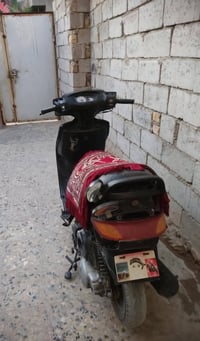 فراشه • مامفتوحه • كوفه