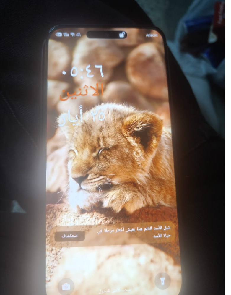 تكنو بوفا سليم 5g
تلفون شخط مابيه
نضيف شاحنه مالته ضاعت
اطيك شاحنه 60w
عنوان شعب
***********
ب275قفل
