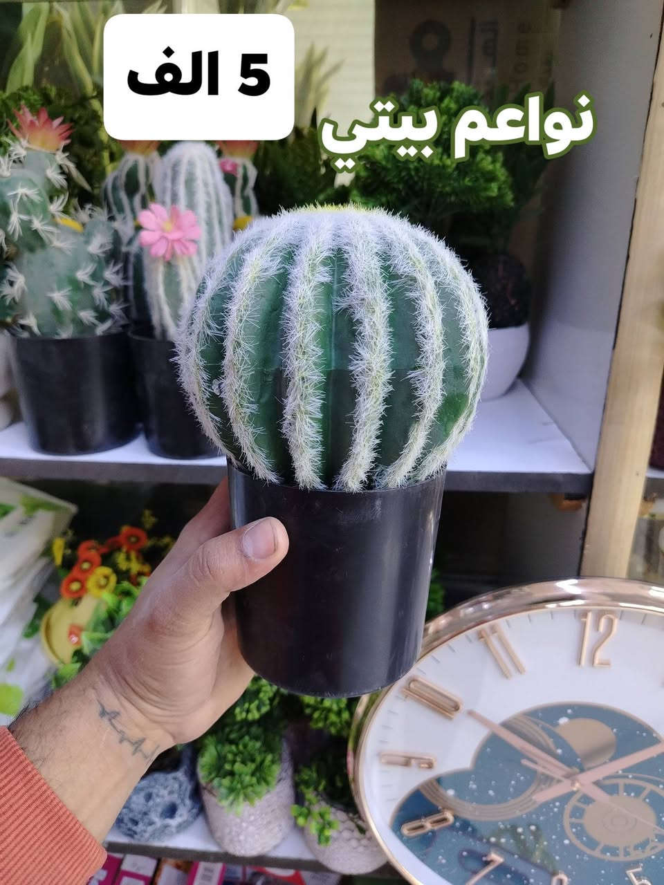 سنادين صبار بموديلات مختلفه ترد الحسد والعين وديكور حلو 
توت توت تعالي النواعم بيتي كلشي موجود😜🤪😋
🧿﷽ 🧿
#نواعم بيتي المواد المنزليه
بضاعة جديدة ومنوعة موديلات واشكال مختلفة راقية وأنيقة ومفيدة جدا تجدونها في نواعم بيتي  
العنوان / العزيزية شارع سيد عزي مجاور علي العتبي للذهب عمارة احمد صبر
يتوفر لدينا خدمة توصيل داخل العزيزية مجاناً 
توصيل لكافة محافظات العراق

👌للحجز ارسال صورة المنتج ورقم الهاتف 
الحجز مراسلة الصفحة أو الاتصال على الرقم ***********\*********** 
🏠الدوام من الساعة التاسعة صباحاً  لغاية الساعة التاسعة ليلآ
اسعارنا تنافسية ومخفظة جداً ....ويدللون 😁😃
