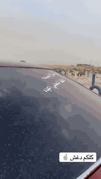 سلام عليكم اخوان اولتيمه مكينه ففيتي كلاص اسود كير عادي ويل كب حداديه خير من الله سنويه منتهيه من ٢٠٢٥  تحويل ثاني يوم سعر 28 وبيه مجال  ***********
