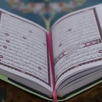 #الأعمال المتوفرة 🤍🕊️  1- فك السحر  2- فك التابعه  3- جلب لرزق  4- جلب...