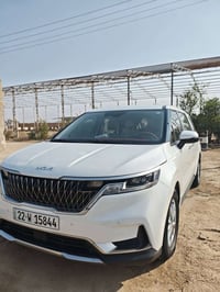 كرنفال ٢٠٢٤ • وارد امريكي • وكالة عامة