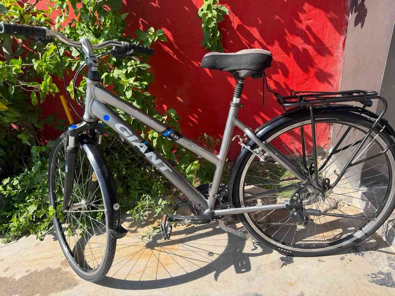 پاسکل ماڕکەی giant 
لاشە ئەلەمنیۆم قیاس 28
سێ گێڕی لە پێشەوە ماڕکەی shimano Alivio
هەشت گێڕ لە دواوە ماڕکەی shimano deore
پاشکۆی دواوەی بیلادیە ماڕکەی giantە
ئیستۆپی  هایدرۆلیک ماڕکەی Magura 
ئیستۆپی دواوەی گۆڕدراوە جۆری سیمی لەسەرە
ژ.م ***********
واتسئەپ ڤایبەر

