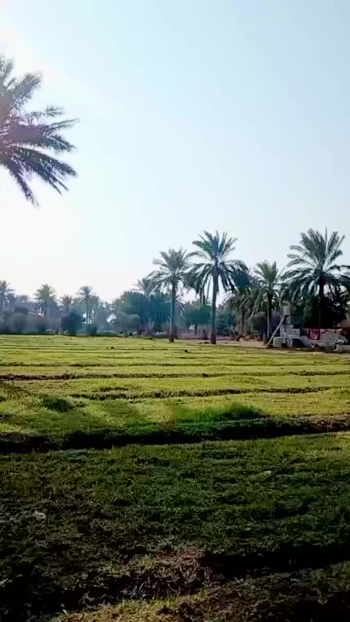 #السلام_عليكم
#دونمين_طابوملك_صرف_مع_دار_للبيع 
في منطقة #الدوانم 👉
قرب الشرطة الخامسة مقابيل سويب 
#جنس_الأرض_طابوملك_صرف 
جبهه75م  
 خدمات مياه اسأله ومياه سقي
وكهرباء 
شارع سبيس 100م
#قرب_جامع_حمادي

 المساحة دونمين
 #للإستفسارالاتصال 
#الأرقام_التاليه 
#يوجدواتساب 
***********#
***********#
