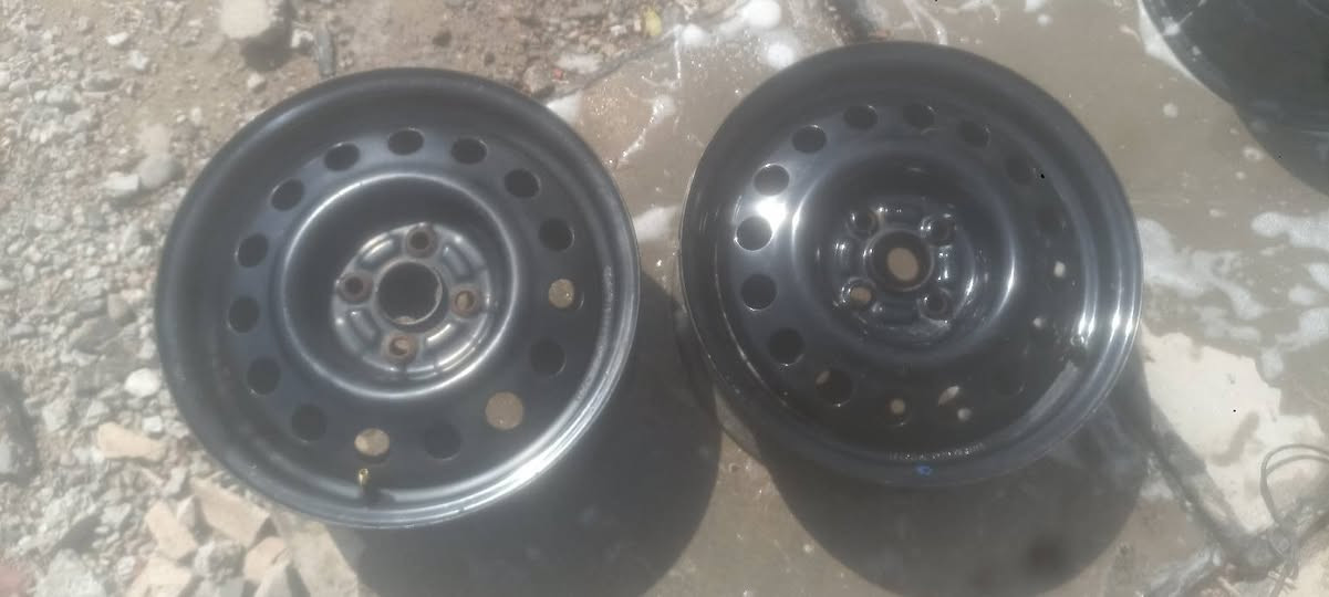 سلام عليكم تخم ويل مال بيوادي اصلي بلادي للبيع او مراوس بويل كب مال بيوادي   رقم الهاتف ***********5
