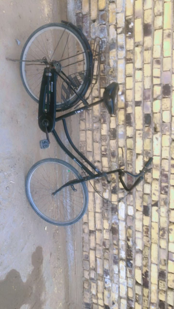 السلام عليكم متاح باسكل موديل 2017 السعر 80 مكاني طليعه


**إذا كنت صاحب هذا الإعلان وتريد حذفه لأي سبب، رجاءا أرسل رسالة إلى الدعم الفني**