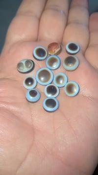 جمعة مباركة • أعضاء محترمين • تحية