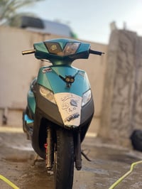 ثعلب نوزل • معدلة • محمودية