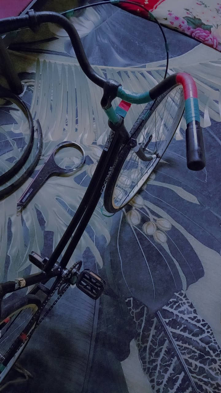 سلام عليكم بيسكل سياحي حجم 26شركه سانتوس كلشي جديد تايرات تيوبات بريك جاهز مجمبز نضافه 80بل 100 مداكر موجوده مكان بصره قبله سعر 75وبي مجال رقم ***********
