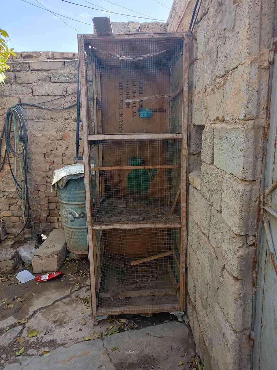 السلام عليكم سقايف 2 للبيع نضافه فول قياس 3/3 وخانه ام 3 مال طيور للاستفسار خاص او اتصل  ***********
