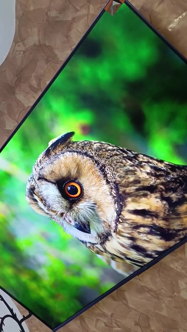 الحجم: 55 بوصة. ***********
دقة العرض: 4K UHD (3840 × 2160).
نوع الشاشة: QD-Mini LED مع تقنية QLED.
معدل التحديث: 144Hz أصلي، مع دعم VRR حتى 240Hz للألعاب.
المعالج: AiPQ Pro لتحسين الصورة والذكاء الاصطناعي.
تقنيات HDR: Dolby Vision IQ، HDR10+، وHLG.
الصوت: نظام ONKYO 2.1 بقوة 40 واط (2×10W + 20W Subwoofer).
تقنيات الصوت: Dolby Atmos وDTS Virtual:X.
النظام: Google TV مع متجر Google Play، ومساعد Google، وChromecast مدمج.
المنافذ: 4 منافذ HDMI (منها HDMI 2.1 مع eARC)، ومنفذا USB، وWi-Fi، وBluetooth 5.4.
مميزات الألعاب: Game Master، وALLM، وAMD FreeSync Premium، ودعم 4K@144Hz.
التصميم: إطار نحيف جدًا (Ultra Slim Desigمشاهدة الأفلام بجودة عالية.
ألعاب PS5 وXbox Series X.
ألوان قوية وتباين ممتاز بفضل تقنية Mini LED
