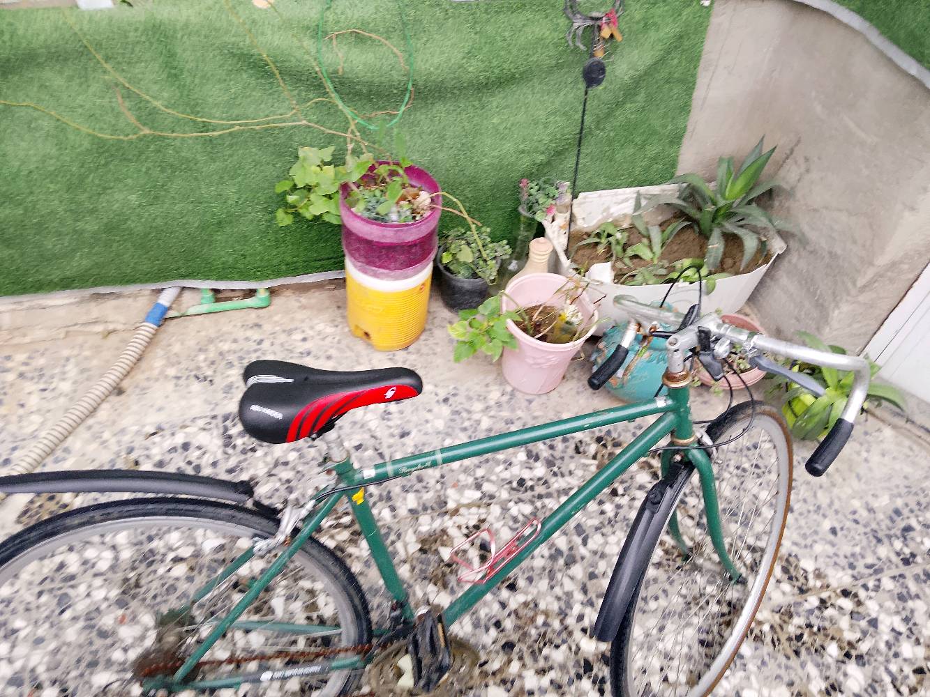 بايسكل سي  700 تواصل خاص واتساب