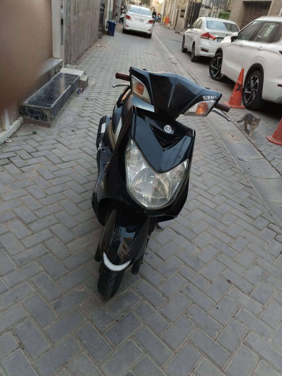 السلام عليكم
دراجه سكنس فحل نوزل طلاعات
دراجه تخبل مكفوله
تجي وتفحص
التواصل واتساب ***********
