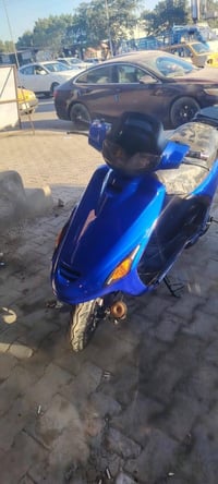 دراجة فراشة • زينون • نجف الأنصار