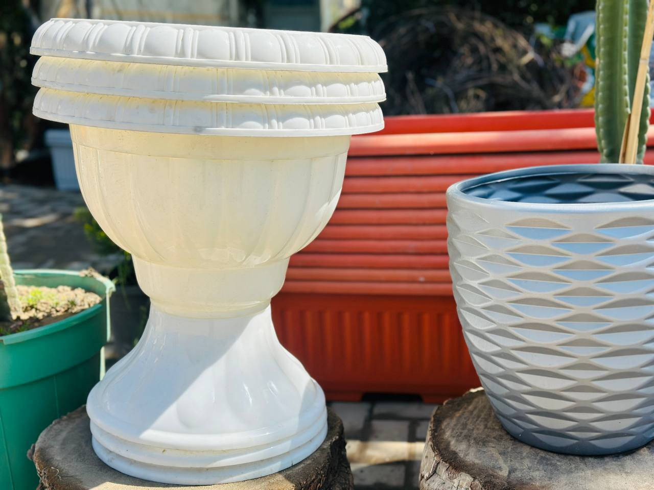 في كل صباح 
هناك فرصة جديدة
لقلبٍ أخف
وأملٍ أكبر
وحياة أجمل مما نظن
صباحكم راحة وبال مطمئن .🌸 
مشتل النورين  لكافة تجهيز  الورود الفخمه 
 وبكافة انواع الورود والاشجار المعمرة 
 كذالك انواع  الاشجار المثمرة  
 #عنوانه_شارع_الغطاس_خلف_المجمع_السوري


**إذا كنت صاحب هذا الإعلان وتريد حذفه لأي سبب، رجاءا أرسل رسالة إلى الدعم الفني**