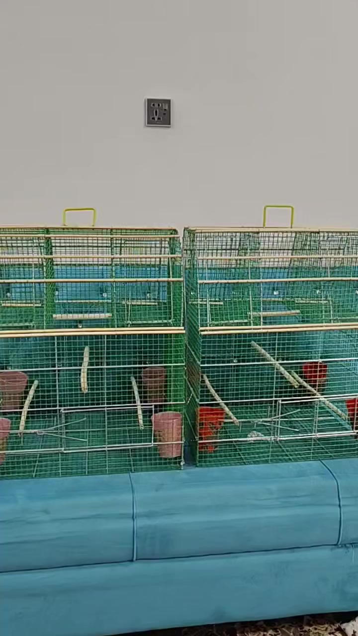 السلام عليكم ورحمه الله وبركاته عندي اقفاص مال صيد  اربعه فخ .. شغل درجه اولى مكاني نجف الاشرف) التواصل على رقم الهاتف ***********
