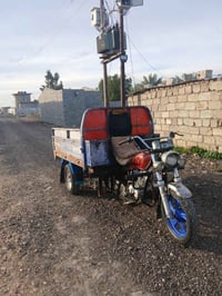 ستوته • موديل 14 • اوراق اصلية